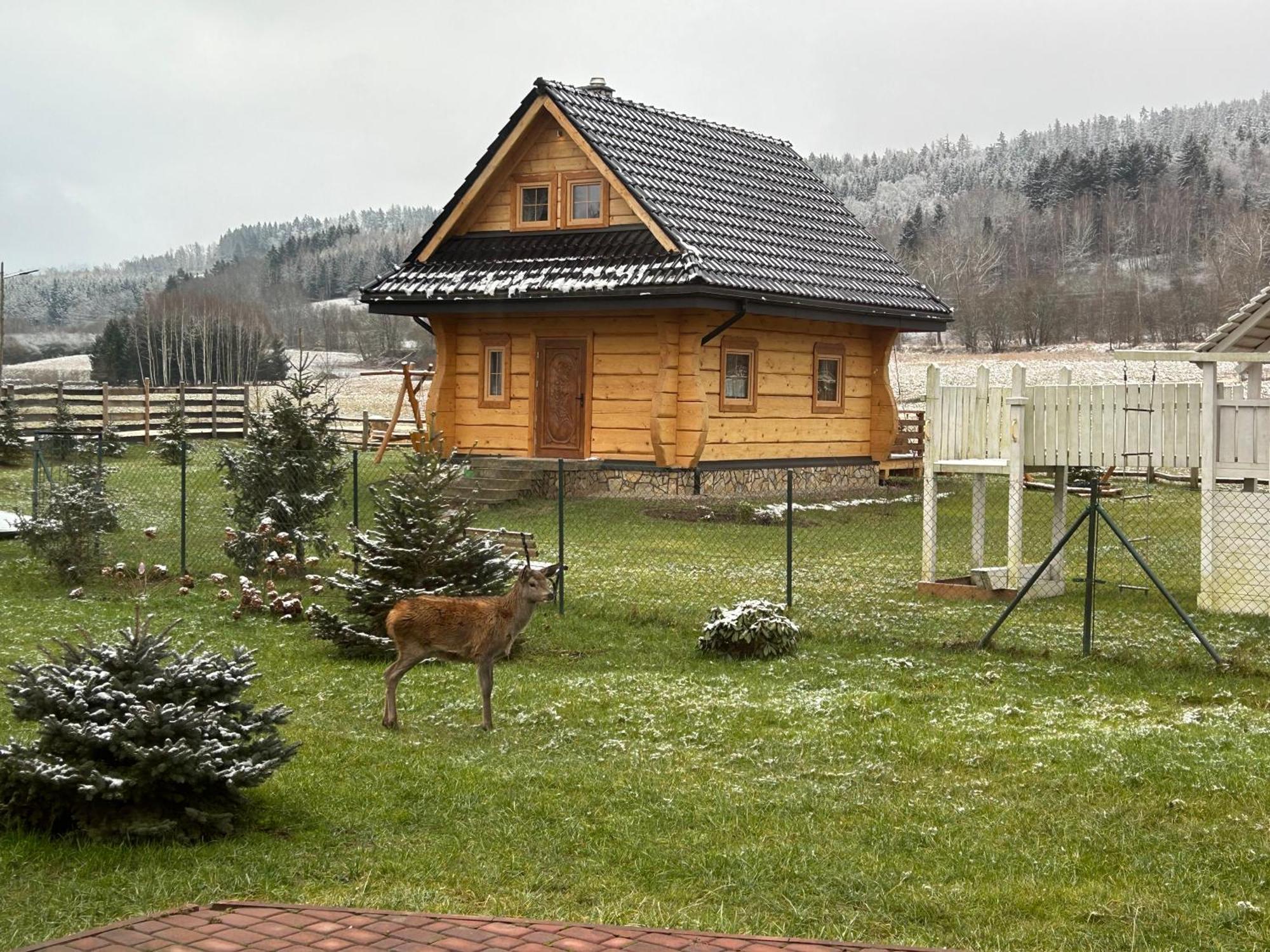 Sloneczna Chata Z Bali Ladek-Zdroj Exterior photo
